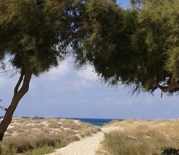 Sea Shell 펜션 Pláka