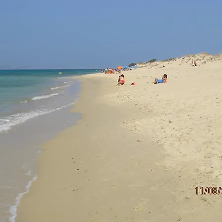 Sea Shell * Plaka (Naxos)